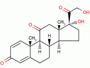 53-03-2 prednisone