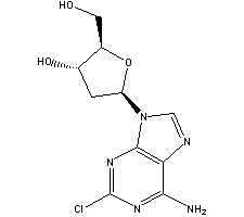 4291-63-8 Cladribine