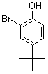 2198-66-5 2-Bromo-4-tert-butylphenol