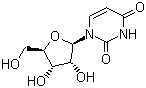 Uridine [58-96-8]