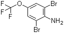 88149-49-9 2,6-dibromo-4-(trifluoromethoxy)aniline