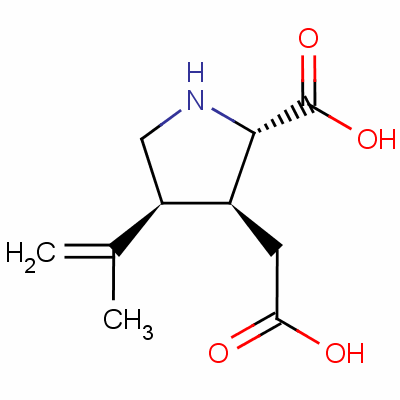 kainic acid