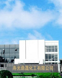 Shouguang DingSheng Chemical Co., Ltd.