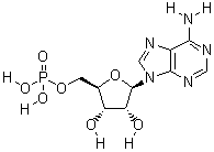 61-19-8 Adenosine 5'-monophosphate