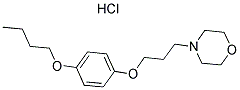 637-58-1 Pramoxine Hydrochloride