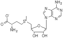 S-Adenosyl-L-Methionine Disulfate Tosylate [29908-03-0]